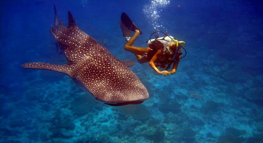 Batuta Maldives Surf View Ξενοδοχείο Thulusdhoo Εξωτερικό φωτογραφία